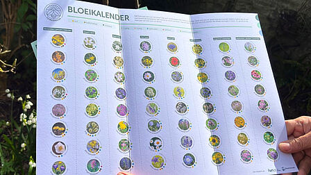 voorbeeld van de bloeikalender die Bregje achterlaat bij inwoners