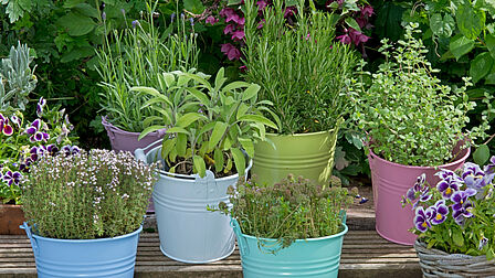 potten met kruiden in een kleurige en speelste opstelling