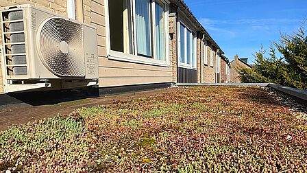 groendak met sedum plantjes en aan de muur de buitenunit van de warmtepomp
