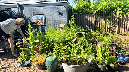 Karin wijst blij planten aan in haar tuin